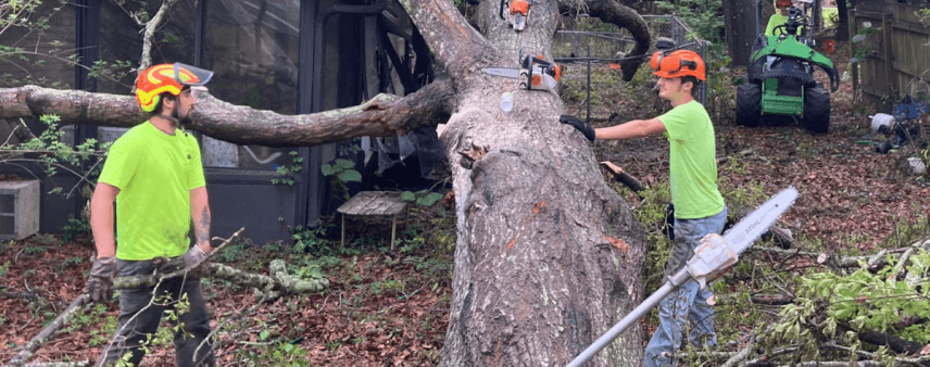 Storm Cleanup