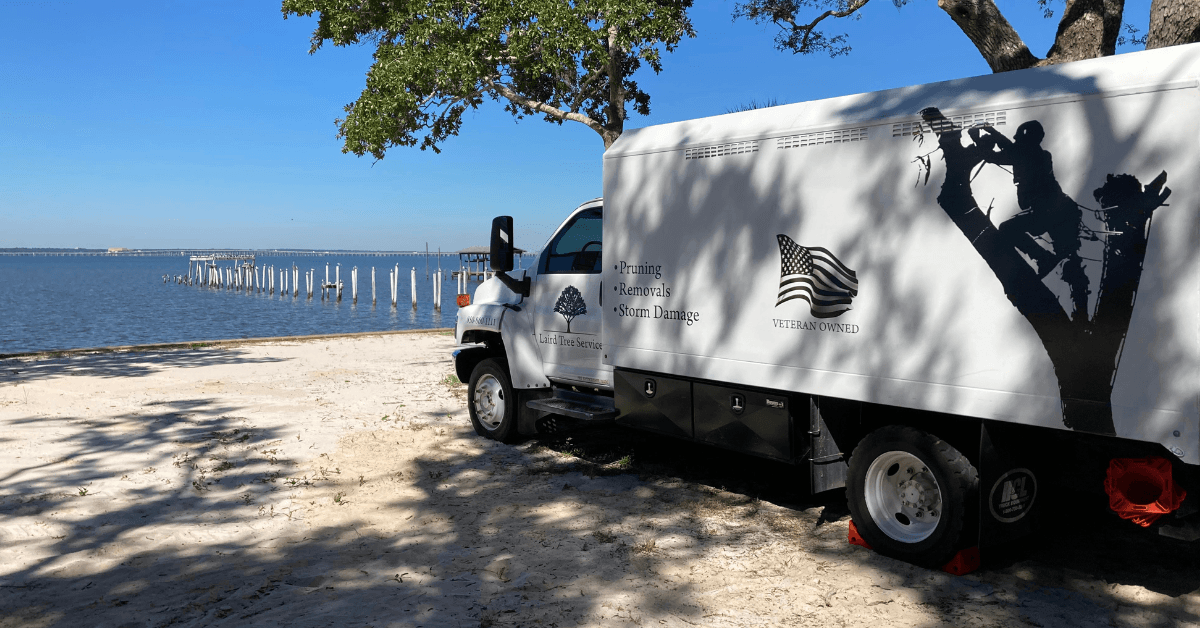 Gulf Breeze