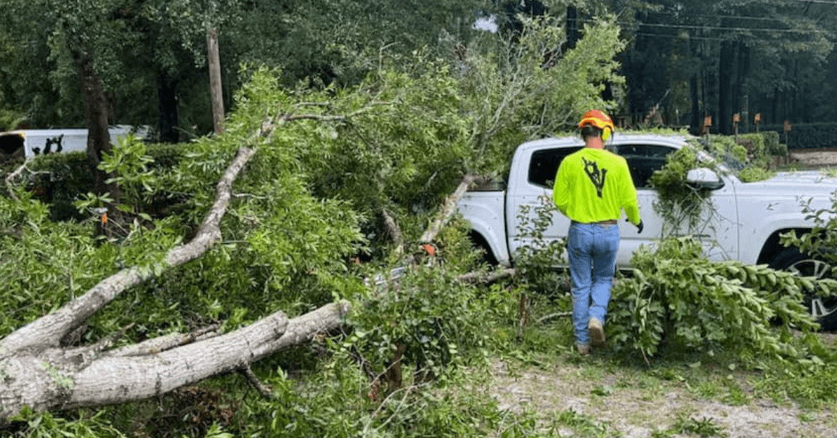 Emergency Tree Service