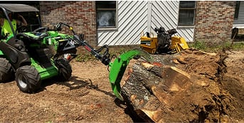 stump grinding