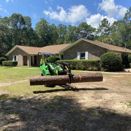 tree service
