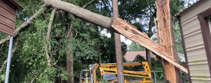Hurricane Season Tree Removal in Pace and Milton, FL: Protect Your Property Before the Storm