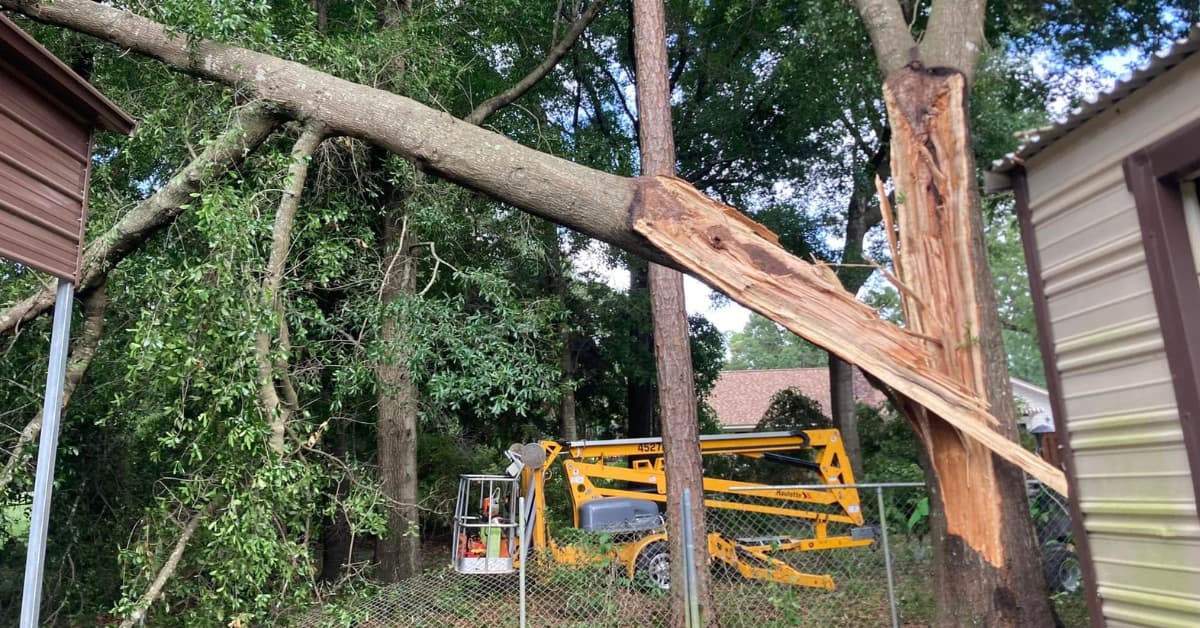 Hurricane Season Tree Removal in Pace and Milton, FL: Protect Your Property Before the Storm