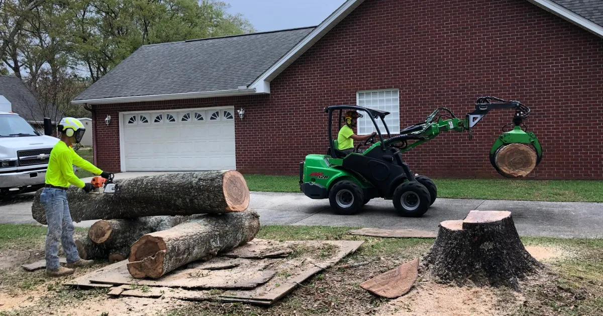 Tree Removal Cost