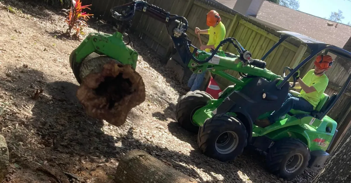 Tree Removal
