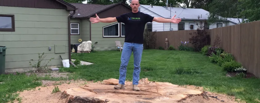 Stump Grinding
