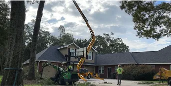 emergency tree service