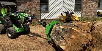stump grinding