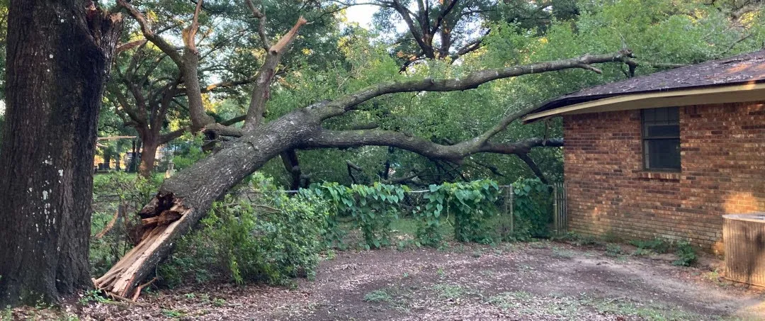 a tree damaged by a storm, fallen on a house in pace florida