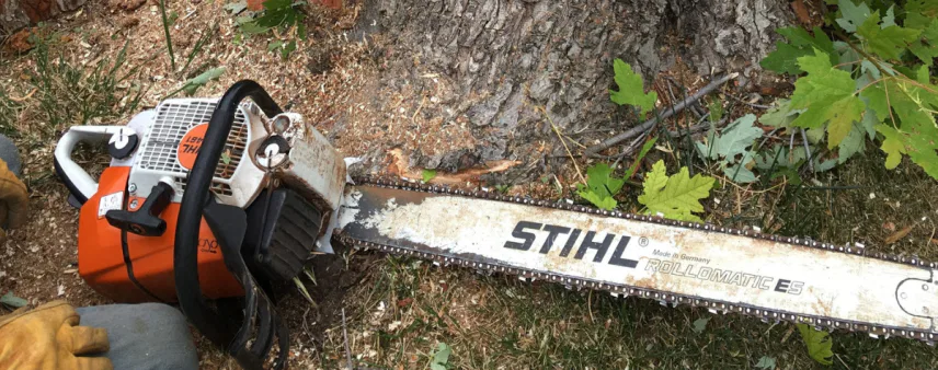 Chainsaw Safety During Hurricane Season in the Pace & Milton Florida