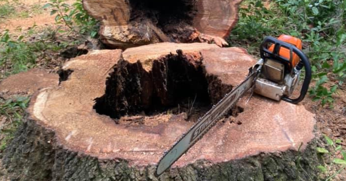 Stump Grinding