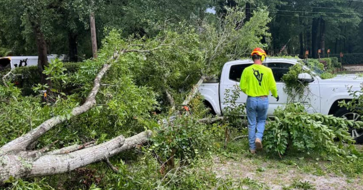 Emergency Tree Service