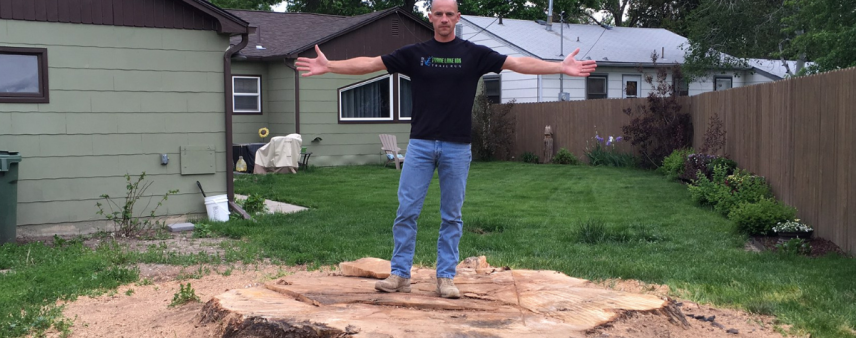 Stump Grinding